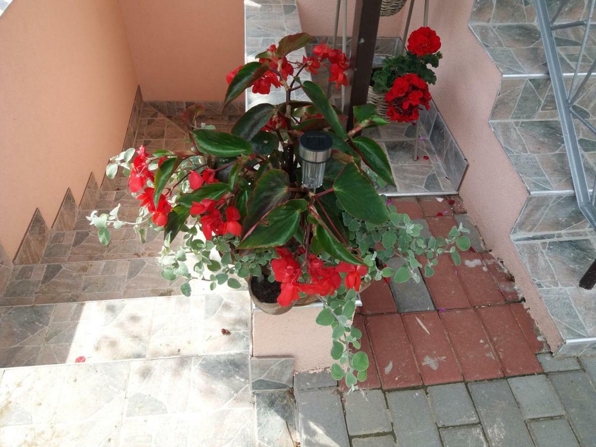 Beata Vendeghaz Hotel Токай Екстериор снимка